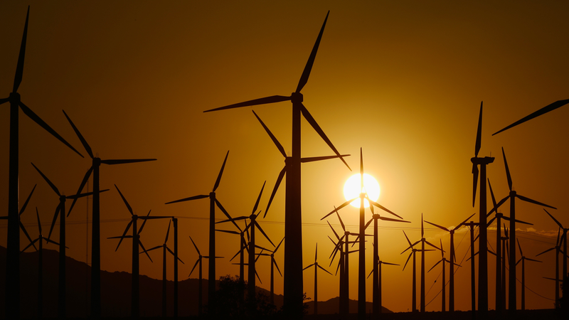 Illustration for article titled Bioweapons, Viagra, Wind Farms, and the Apocalypse: Best Gizmodo Stories of the Week
